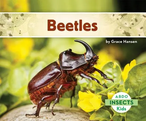 Brouci - Beetles