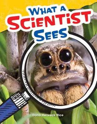 Co vidí vědec - What a Scientist Sees