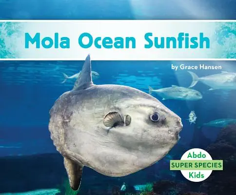 Mola oceánská - Mola Ocean Sunfish