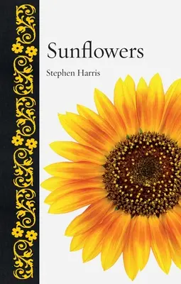 Slunečnice - Sunflowers
