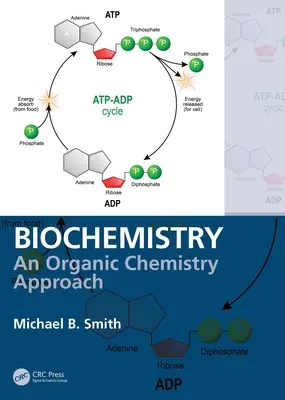 Biochemie: Přístup k organické chemii - Biochemistry: An Organic Chemistry Approach