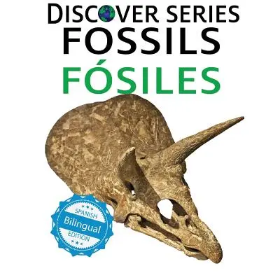 Zkameněliny / Fosiles - Fossils / Fosiles