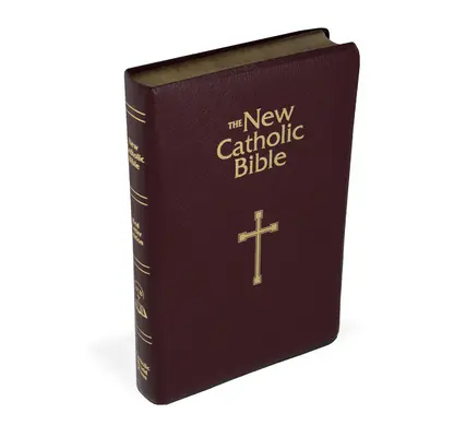 Ncb Bible pro dárky a ocenění - Ncb Gift & Award Bible