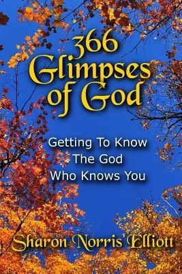 366 záblesků Boha: Bůh, který zná tebe. - 366 Glimpses Of God: Getting To Know The God Who Knows You