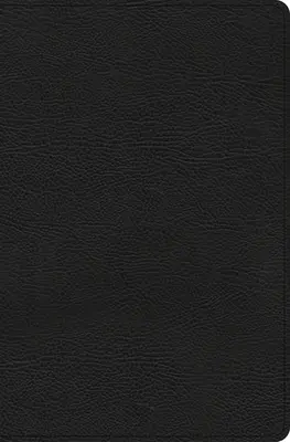 CSB Everyday Study Bible, černá lepená kůže - CSB Everyday Study Bible, Black Bonded Leather