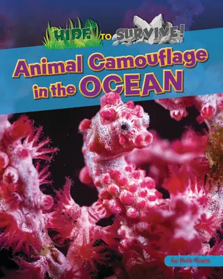 Kamufláž zvířat v oceánu - Animal Camouflage in the Ocean