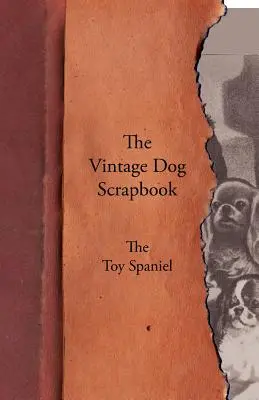 The Vintage Dog Scrapbook - Toy španěl - The Vintage Dog Scrapbook - The Toy Spaniel