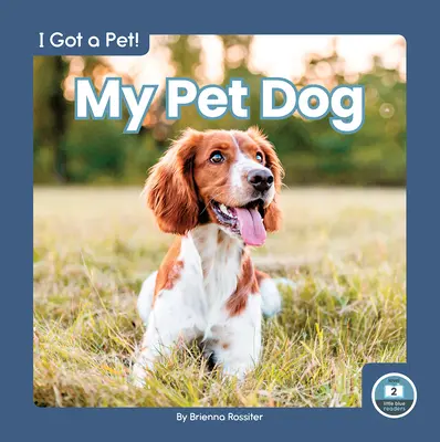 Můj domácí pes - My Pet Dog
