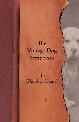 The Vintage Dog Scrapbook - Clumber španěl - The Vintage Dog Scrapbook - The Clumber Spaniel