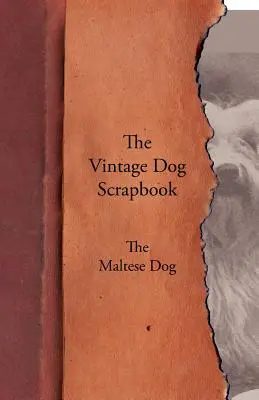 The Vintage Dog Scrapbook - Maltézský psík - The Vintage Dog Scrapbook - The Maltese