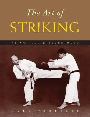 Umění úderu: Principy a techniky - The Art of Striking: Principles & Techniques