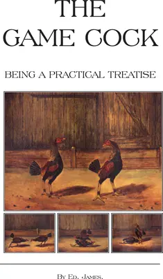 The Game Cock - Being a Practical Treatise on Breeding, Rearing, Training, Feeding, Trimming, Mains, Heeling, Spurs, Etc. (Dějiny kohoutích zápasů) - The Game Cock - Being a Practical Treatise on Breeding, Rearing, Training, Feeding, Trimming, Mains, Heeling, Spurs, Etc. (History of Cockfighting Ser