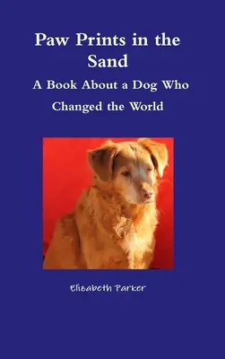 Otisky tlapek v písku - kniha o psovi, který změnil svět - Paw Prints in the Sand- A Book About a Dog Who Changed the World