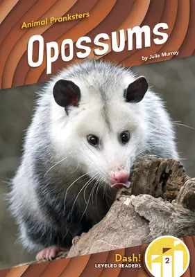 Opice - Opossums
