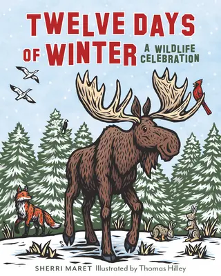 Dvanáct dní zimy: Oslava divoké přírody - Twelve Days of Winter: A Wildlife Celebration