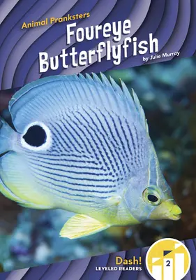 Čtyřoký motýl - Foureye Butterflyfish