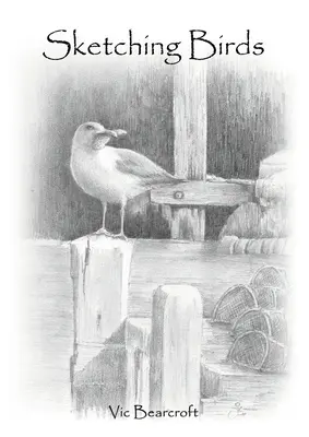 Skicování ptáků - Sketching Birds