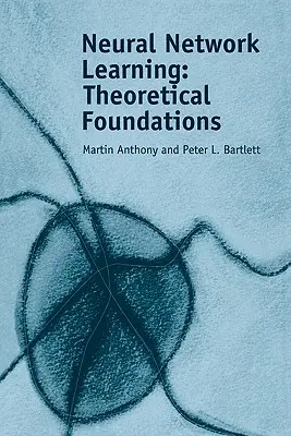 Učení pomocí neuronových sítí: Teoretické základy - Neural Network Learning: Theoretical Foundations
