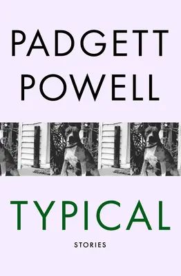 Typické: Příběhy - Typical: Stories