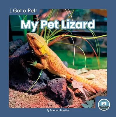 Můj domácí mazlíček ještěrka - My Pet Lizard