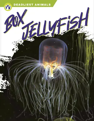 Medúzy krabicové - Box Jellyfish