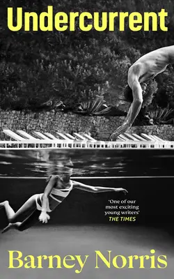 Spodní proud - srdcervoucí a nakonec nadějný román o hledání sebe sama od autorky bestselleru Times Five Rivers Met on a Woode (Pět řek se potkalo na dřevě). - Undercurrent - The heartbreaking and ultimately hopeful novel about finding yourself, from the Times bestselling author of Five Rivers Met on a Woode