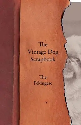 The Vintage Dog Scrapbook - Pekinézský pes - The Vintage Dog Scrapbook - The Pekingese