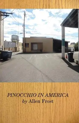 Pinocchio v Americe - Pinocchio in America