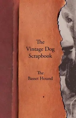 The Vintage Dog Scrapbook - The Basset Hound (Psí veterán) - The Vintage Dog Scrapbook - The Basset Hound
