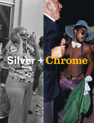 Mitch Epstein: Stříbro + chrom - Mitch Epstein: Silver + Chrome