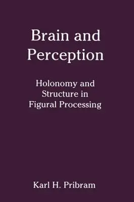 Mozek a vnímání: Holonomie a struktura v obrazovém zpracování - Brain and Perception: Holonomy and Structure in Figural Processing