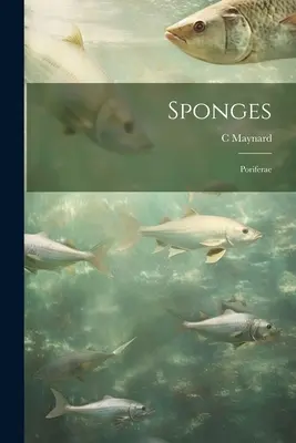 Houby; Poriferae - Sponges; Poriferae