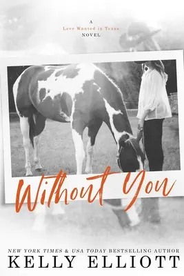 Bez tebe - Without You