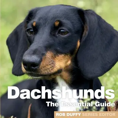 Jezevčíci: Základní průvodce: Jezevčíci: Základní průvodce - Dachshunds: The Essential Guide