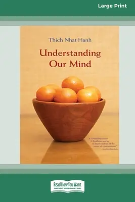 Porozumění naší mysli (16pt Large Print Edition) - Understanding Our Mind (16pt Large Print Edition)