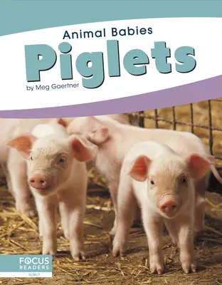 Prasátka - Piglets