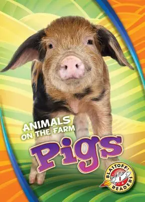 Prasata - Pigs