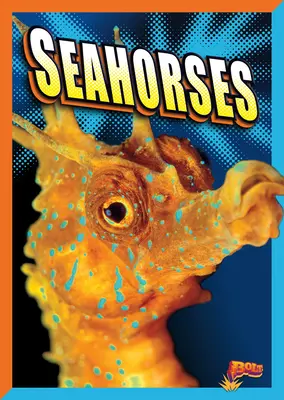 Mořští koníci - Seahorses