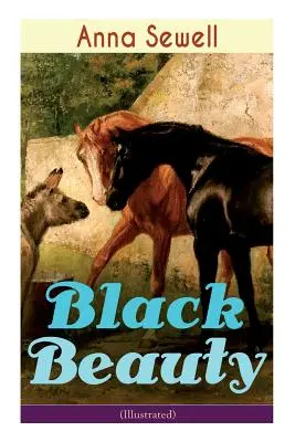 Černá krása (ilustrovaná): Klasika světové literatury - Black Beauty (Illustrated): Classic of World Literature