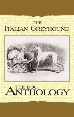 Italský chrt: Psí antologie - The Italian Greyhound: A Dog Anthology