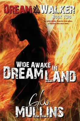 Široké bdění v říši snů - Wide Awake In Dream Land