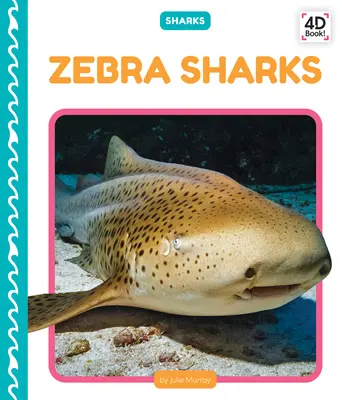 Žraloci zebrovaní - Zebra Sharks