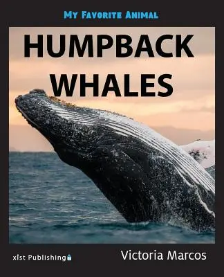 Mé oblíbené zvíře: keporkak - My Favorite Animal: Humpback Whales