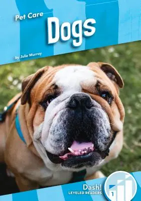 Psi - Dogs