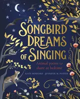 Pták zpěvák sní o zpěvu - Songbird Dreams of Singing