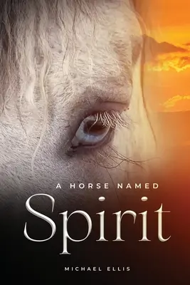 Kůň jménem Duch - A Horse Named Spirit