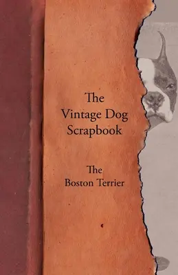 Vintage psí album - Bostonský teriér - The Vintage Dog Scrapbook - The Boston Terrier