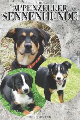 Appenzeller Sennenhunde: Kompletní a vyčerpávající průvodce pro majitele: Koupě, vlastnictví, zdraví, péče, výcvik, poslušnost, pochopení a porozumění - The Appenzeller Sennenhunde: A Complete and Comprehensive Owners Guide To: Buying, Owning, Health, Grooming, Training, Obedience, Understanding and