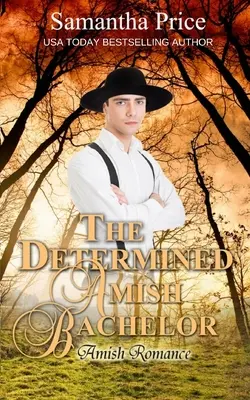Odhodlaný amišský starý mládenec - The Determined Amish Bachelor