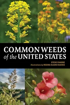Běžné plevele Spojených států - Common Weeds of the United States